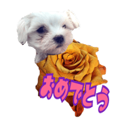 puppy dog  stamp cute