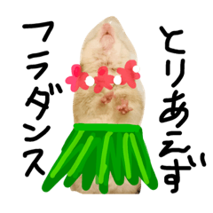 hamster(^.^)