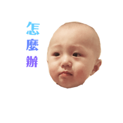 egg every day