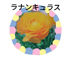 The flowers are blooming.