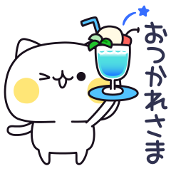 White cat in summer day