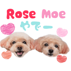 Rose&Moe cute Sticker