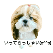 yukichi   and  masao