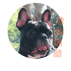 我是松露