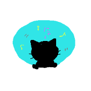 Black Cat R