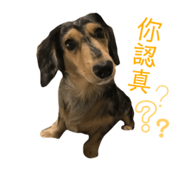 我倆一起的日常