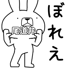 Dialect rabbit [onomichi]