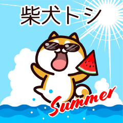 Shiba Toshi in Summer