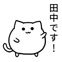 Tanaka's round maybe cat