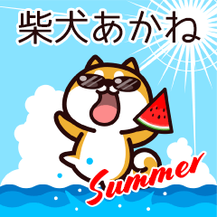 Shiba Akane in Summer