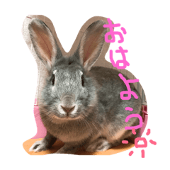 mokomoka