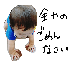 SUMO Baby