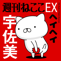 Move "USAMI" name sticker feature