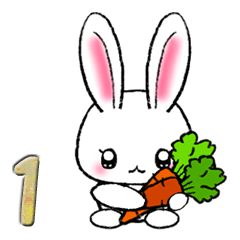 Rabbit vol.1(summer)