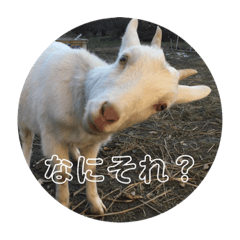 Hime and Masao 2 /Goats Stamp