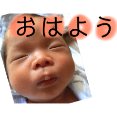 harutakunstamp