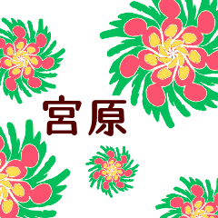 宮原 と お花