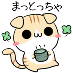 Cat of Toyama dialect 3