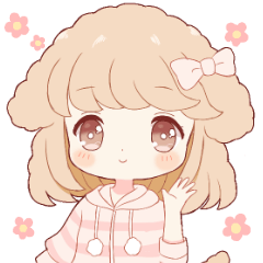 Toy poodle Girl