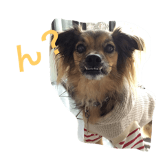 Churroine