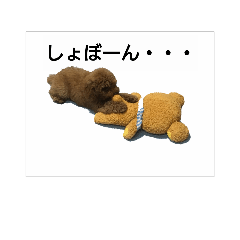 ren&kou