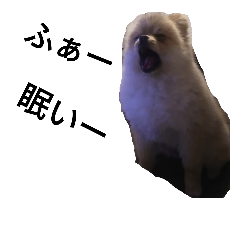 pontatomo