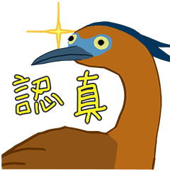 BIG FOOL BIRD (Malayan night heron)