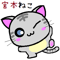 Miyamoto cat