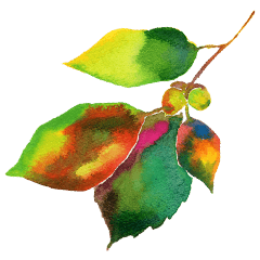 watercolors for plants