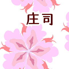 Shoji and Flower