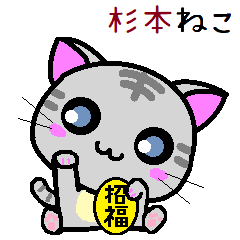 Sugimoto cat