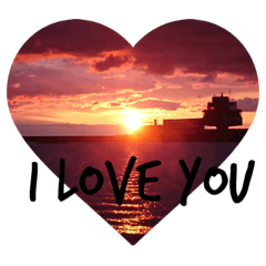 my love and love
