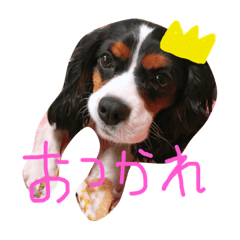 yutorinokuni