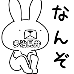 Dialect rabbit [tajimi]