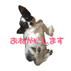 ren&roku