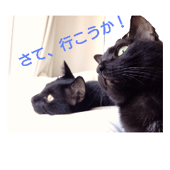 Black cat ten&mizore daily life