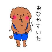 Small  dogs
