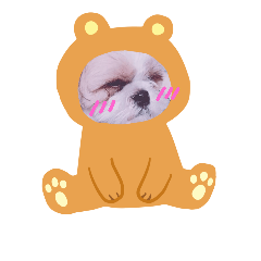 Kawaii Maron Stamp