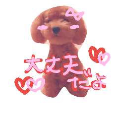 **Toy Poodle Stamp (Mu)**