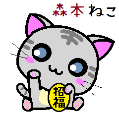 Morimoto cat