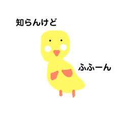 Kii-chan name of budgerigar