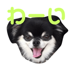 muchiwa