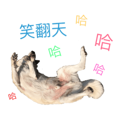 米奇上學趣