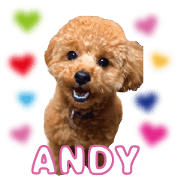 ANDY stamp's