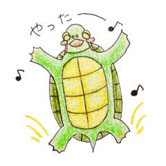 HONOBONO turtle