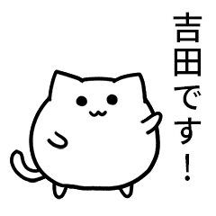 Yoshida's round maybe cat