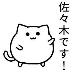 Sasaki's round maybe cat
