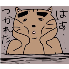 Futomayu Neko