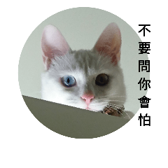 一筒（異瞳）天下-lulu