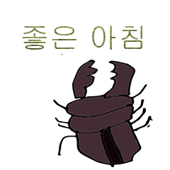 Stag beetle Korean